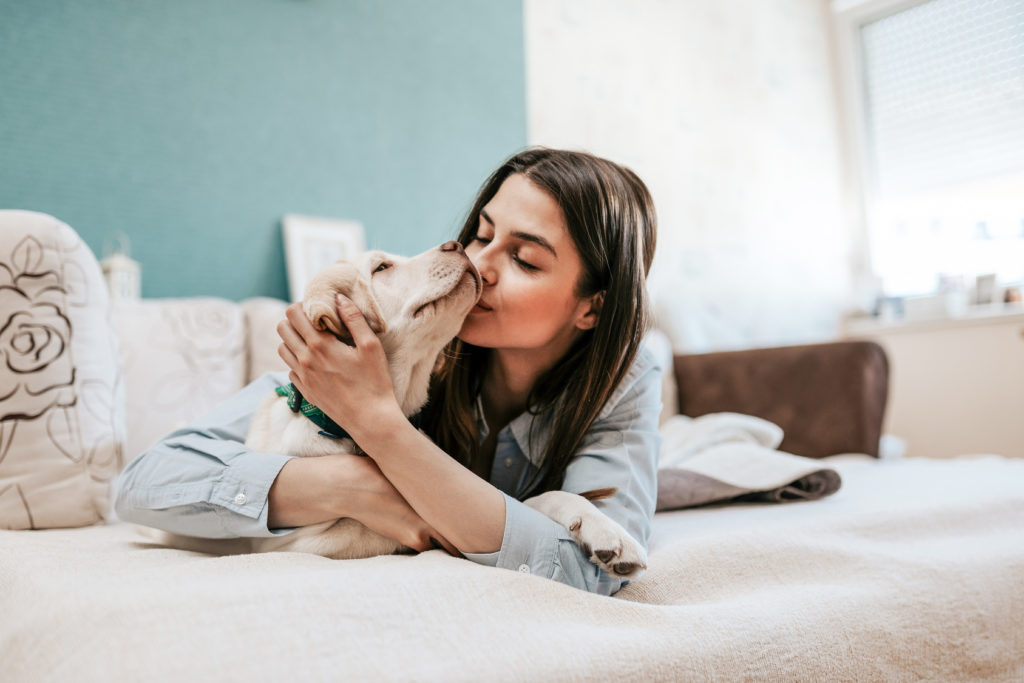 un chien fait des bisous à sa maîtresse