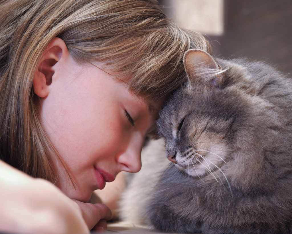 Langage des chats