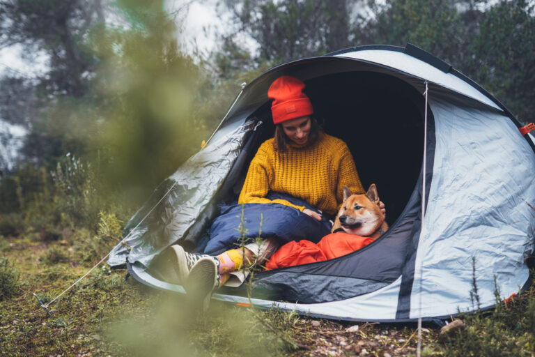chien et camping