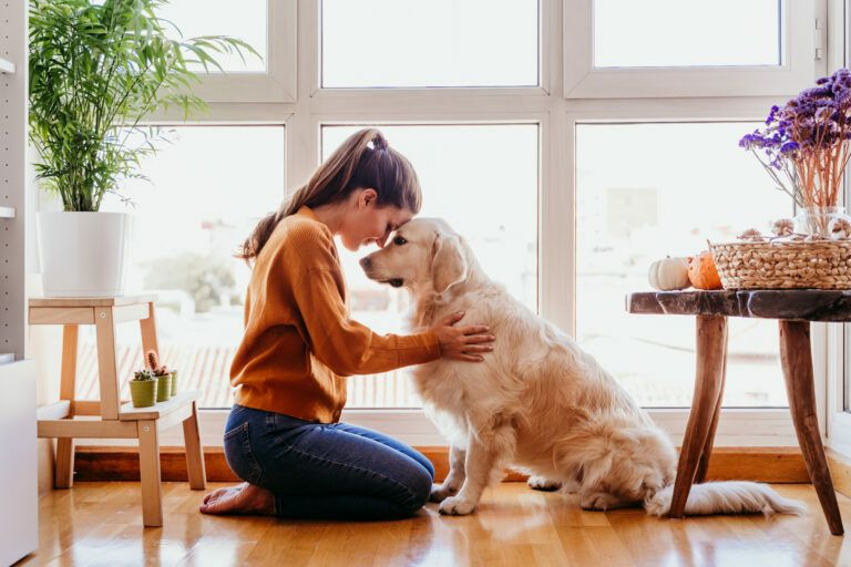 beautiful woman hugging her adorable golden retriever dog at home. love for animals concept. lifestyle indoors Une jeune femme dans son appartement câline son golden retriever