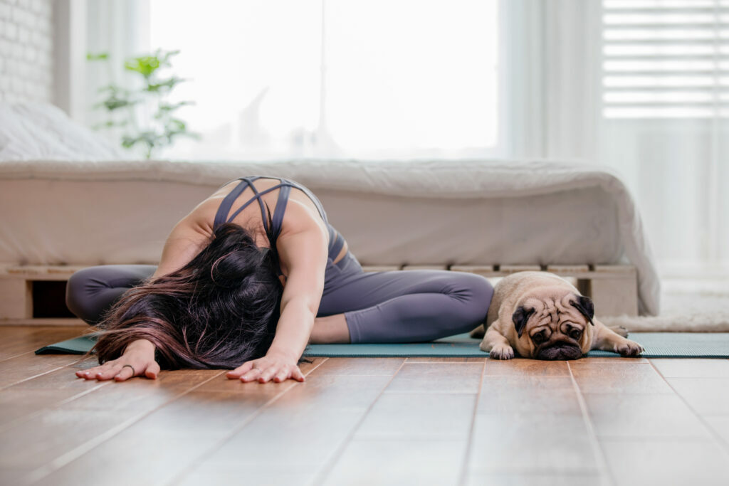 woman practice yoga with dog pug breed une femme fait du dog yoga avec son carlin