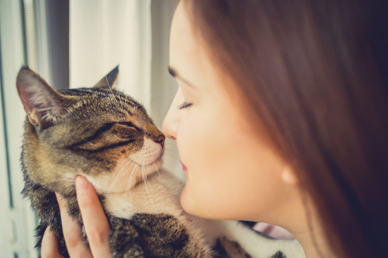 Warum-Katzen-gut-für-unsere-Gesundheit-sind-768×512