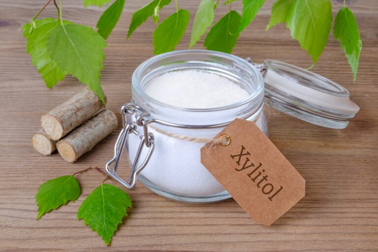 Le xylitol : danger pour les chiens