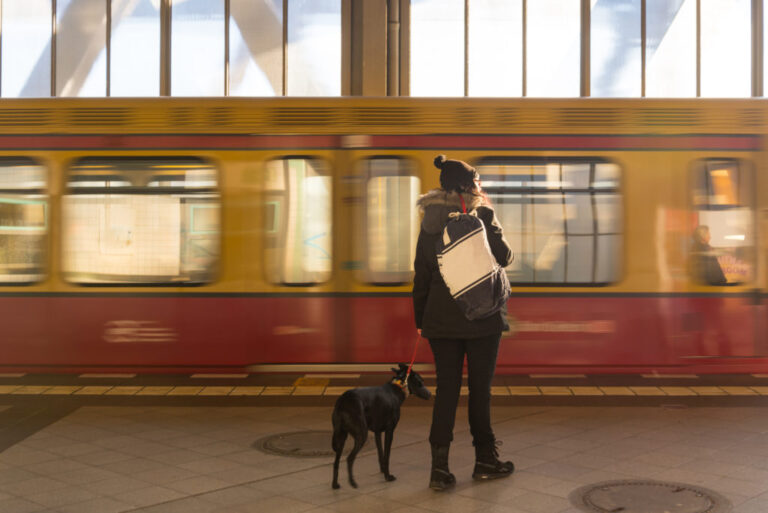 Chien et son maître qui attendent le train sur le quai