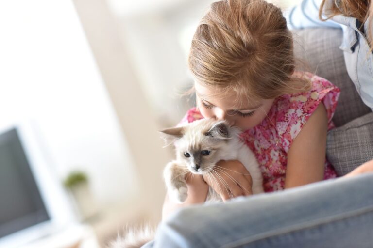 petite fille qui câline un chaton