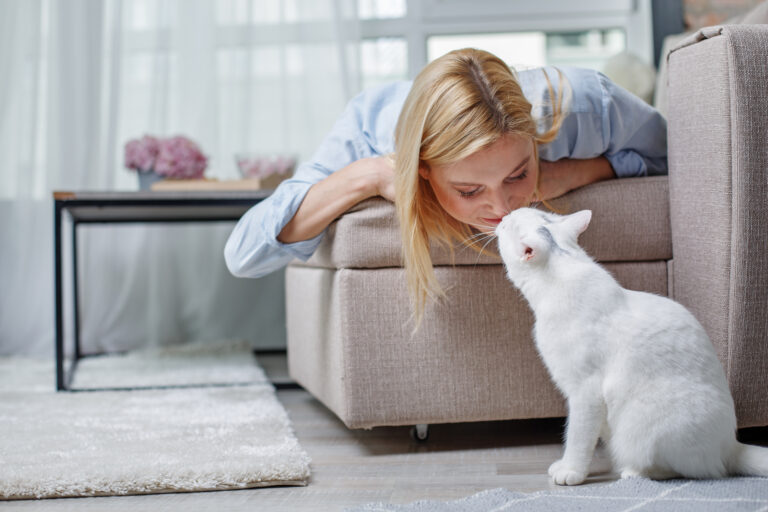 chat d'appartement avec sa maîtresse