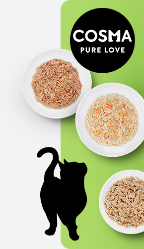 MATINA_OB_cat_cosma_background_left_FR