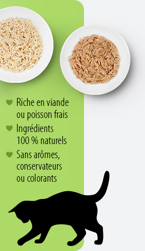 MATINA_OB_cat_cosma_background_right_FR