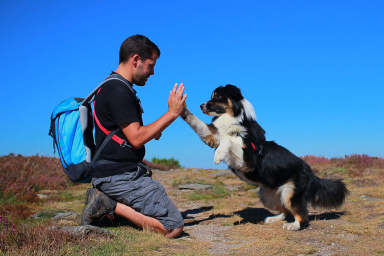 Un homme apprend des tours à son chien