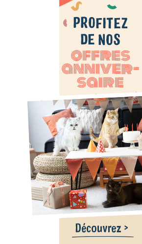 general_birthday_background_left_FR