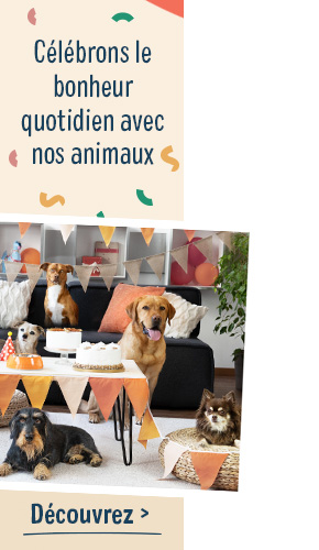 general_birthday_background_right_FR