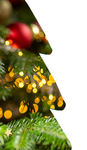 general_xmas_background_right_FR