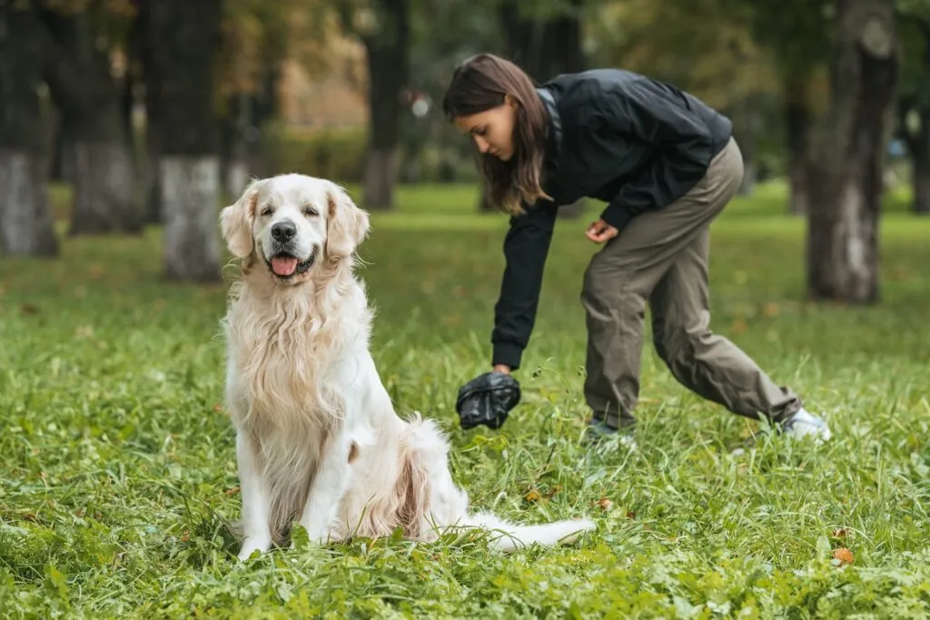 vers ronds plats chien