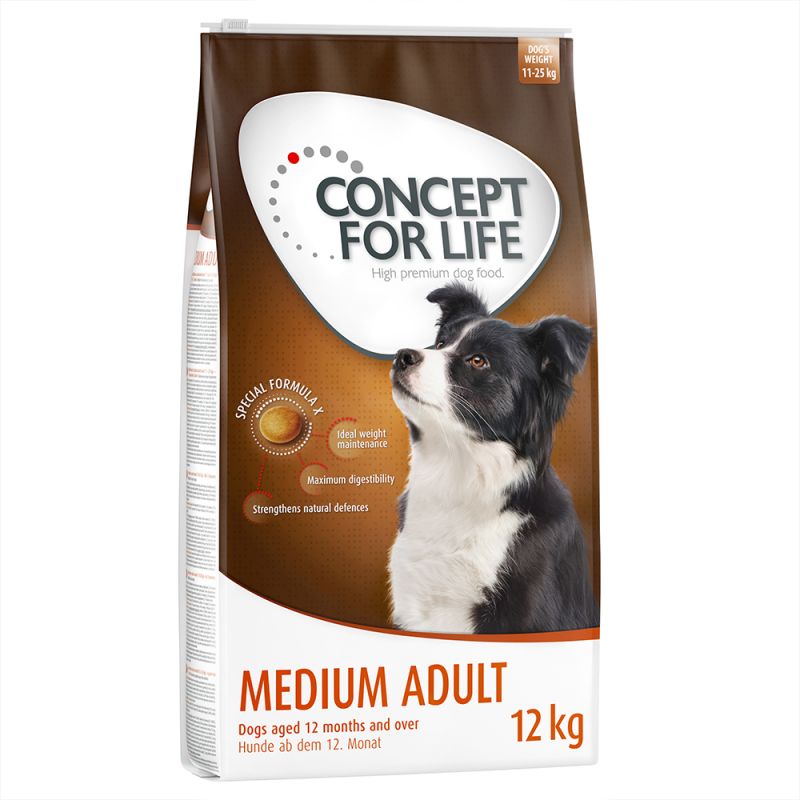 Australian Shepherd Ernahrung welches Futter ist geeignet zooplus.ch