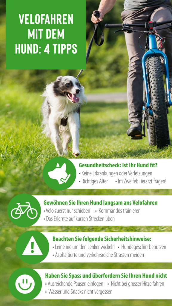 zooplus_Magazine_Outdoor_Dog_Bike_Tips_1080x1920_CH