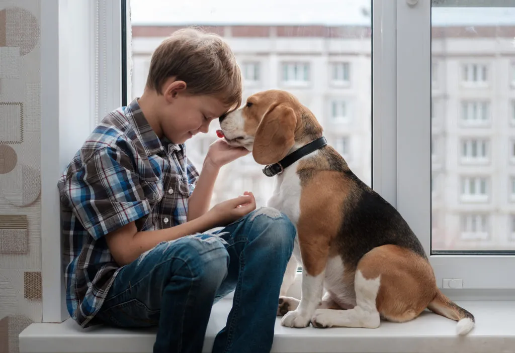 Junge streichelt Hund