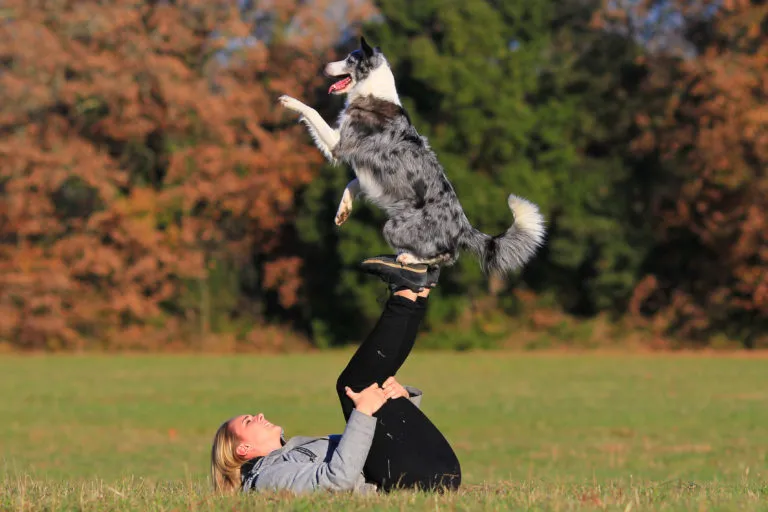 dancing dog