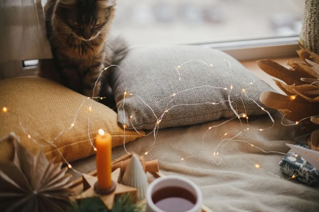 Eine Katze blickt neugierig auf eine Weihnachtskerze