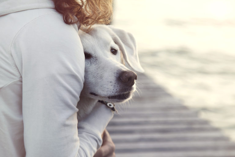 Frau beruhigt Hund mit Umarmung