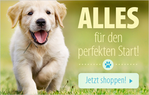 Ein Welpen zieht ein! ALLES für den perfekten Start! Jetzt entdecken im zooplus Shop für Welpen!