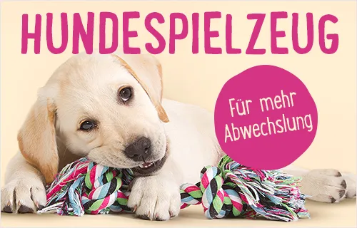 Welpenspielzeug - Mehr Abwechslung für Ihren Welpen!