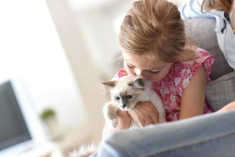 Nahaufnahme von einem Mädchen, das mit einem Kitten kuschelt