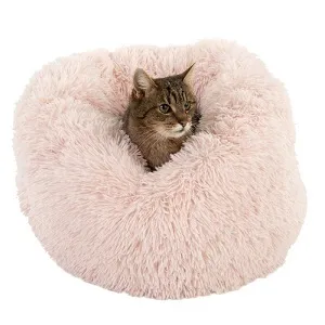 Katze im Katzenbett