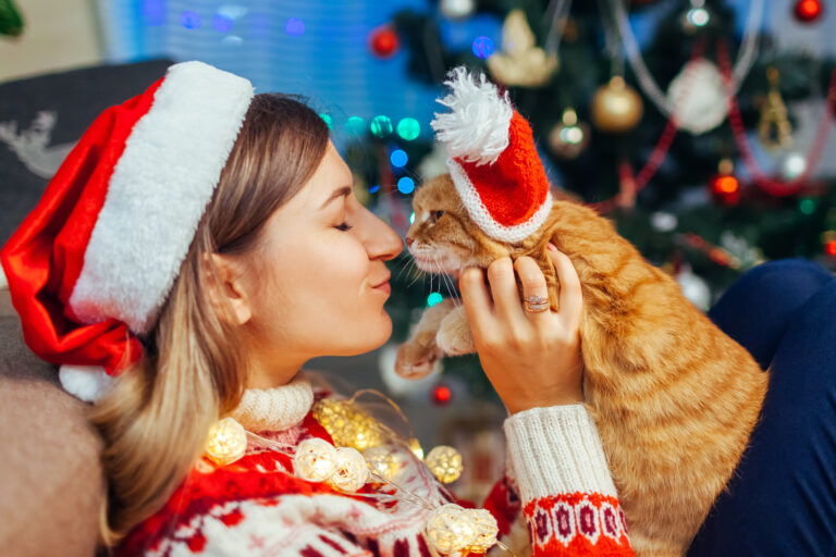 Katze mit Weihnachtsmütze schmust mit Frauchen