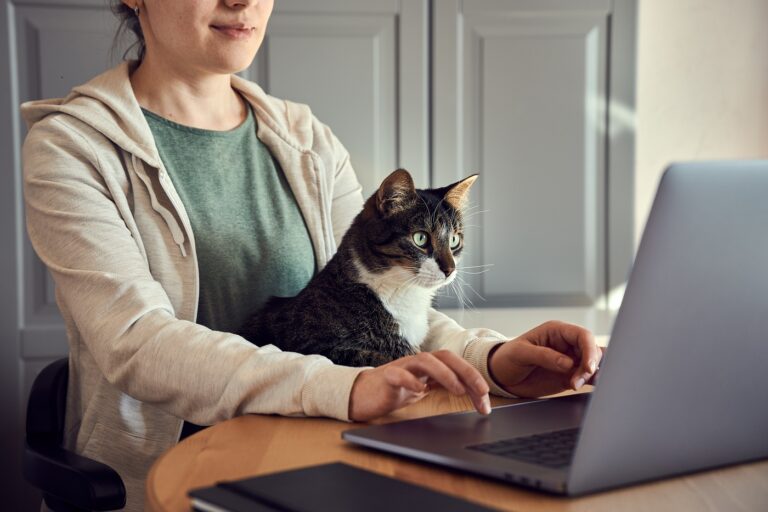 junge Frau arbeitet mit Katze im Homeoffice am Laptop