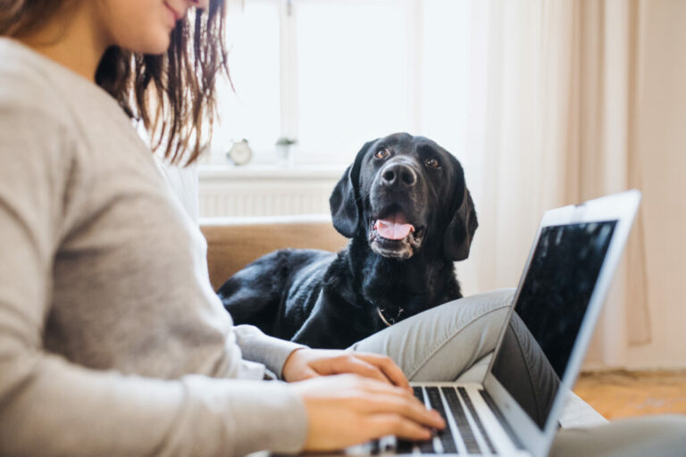 Frau mit Hund und Laptop im Homeoffice