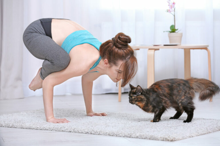 Frau macht zu Hause Yoga mit ihrer KatzeA Frau macht zu Hause Yoga mit ihrer KatzeA