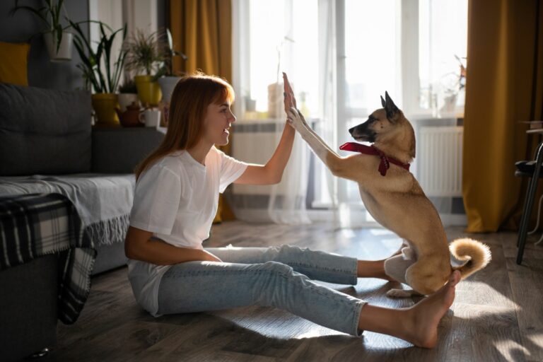 mädchen übt mit hund high five im wohnzimmer