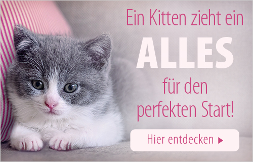 Kittenprodukte bei zooplus