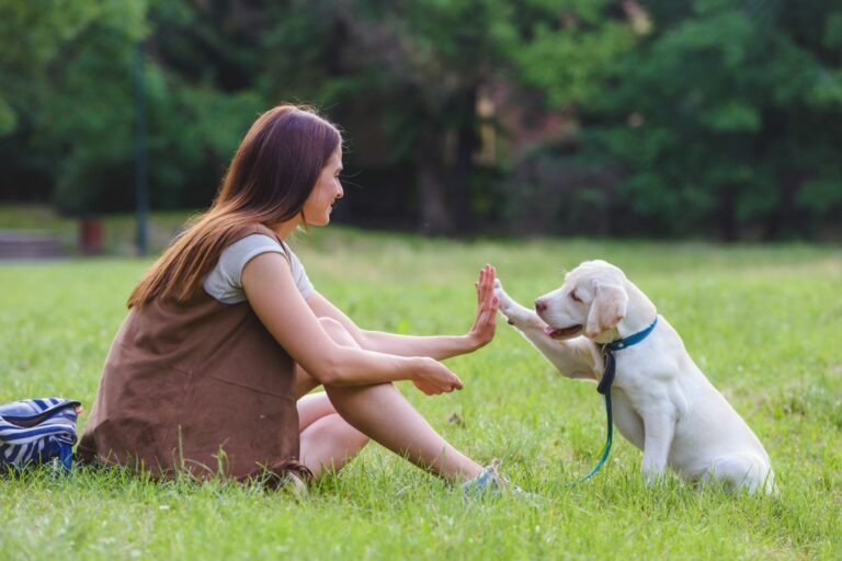 Junge Frau und Welpe im Park machen high five