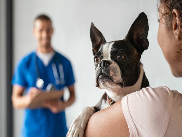 Frau mit Hund im Arm beim Tierarzt