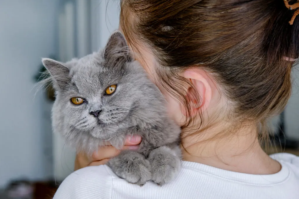 &Auml;ltere Katze wird gehalten &ndash; m&ouml;gliche Anzeichen von Altersschw&auml;che bei Katzen