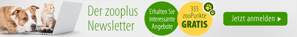 newsletter_anmeldung