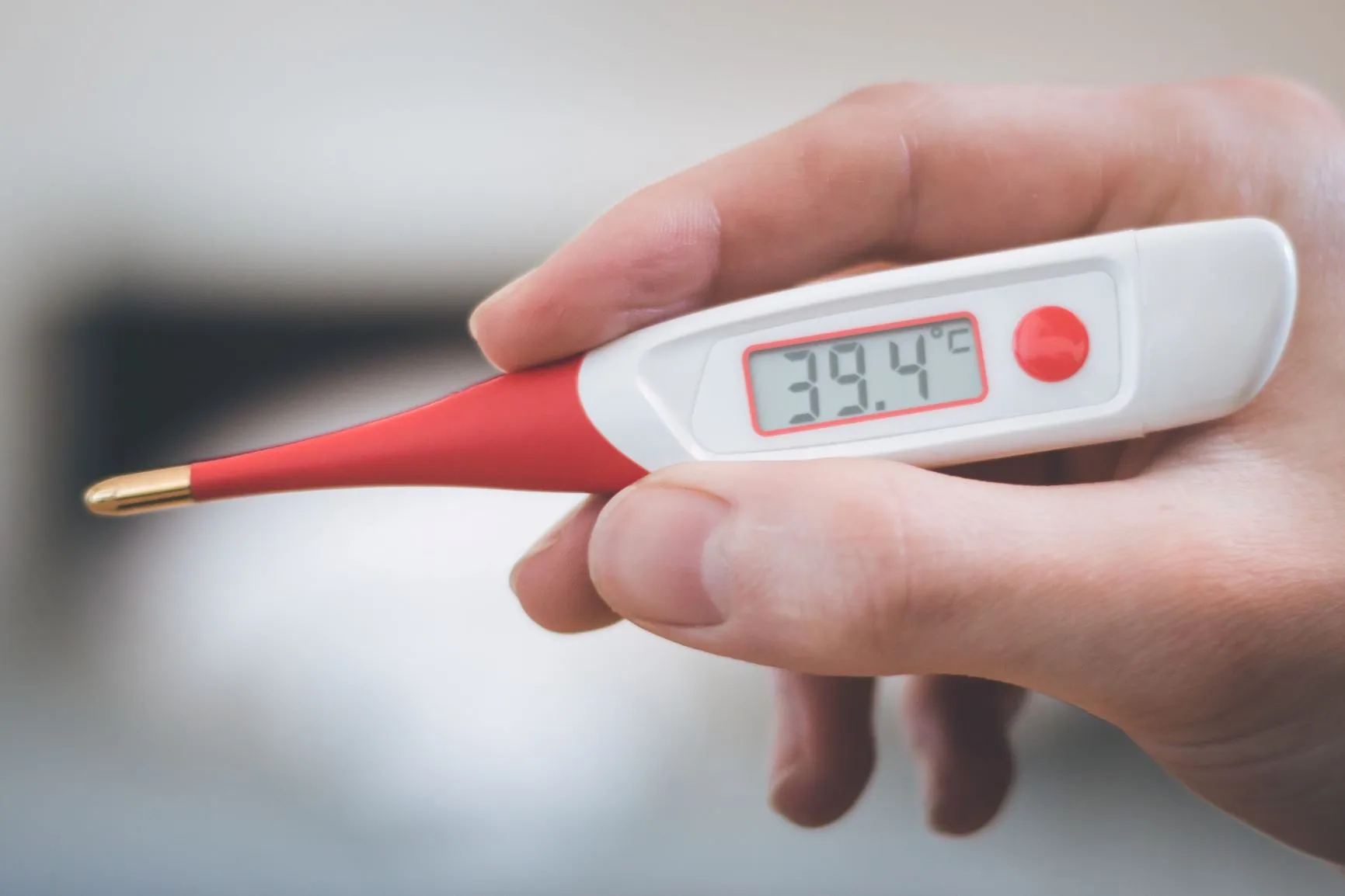 Fiebermessen beim Hund mit FieberthermometerFieberthermometer Fiebermessen beim Hund mit Fieberthermometer