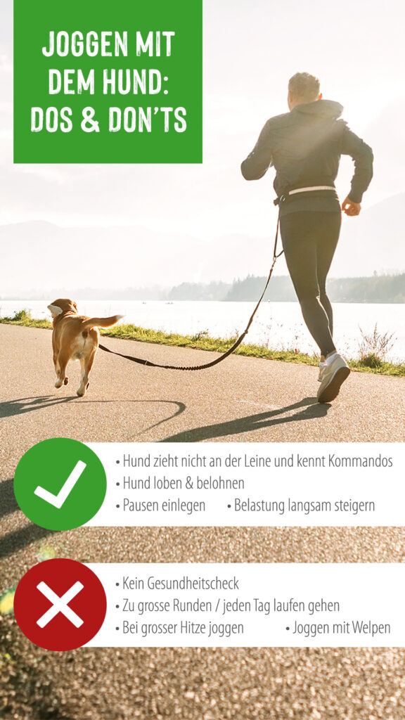 zooplus_Magazine_Outdoor_Dog_Jogging_DosAndDonts_1080x1920_CH