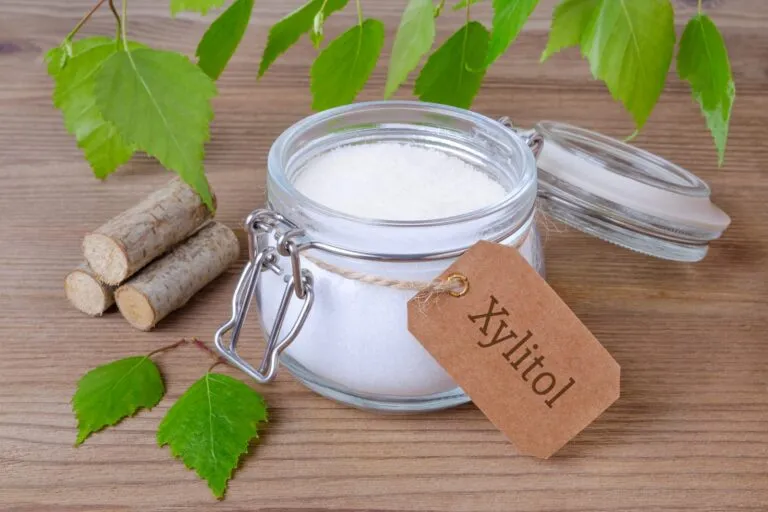 Eine Zuckerdose gefüllt mit Xylitol-Zuckerersatz zuckerdose mit xylitol