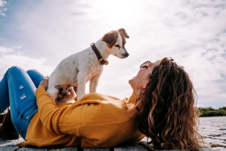 Bindung zum Hund aufbauen