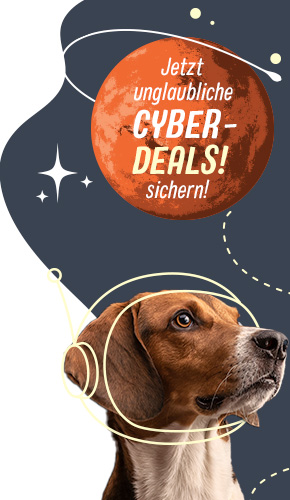 Cyber Deals 2023