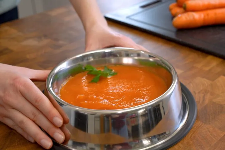 morosche karottensuppe hund