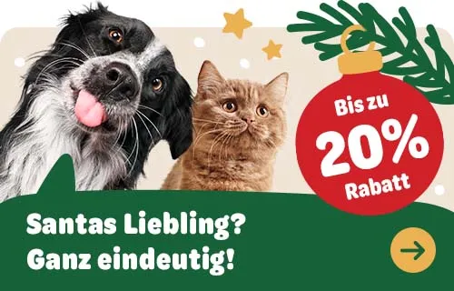 Hund und Katze auf einem Banner zur Bewerbung einer Weihnachtskampagne
