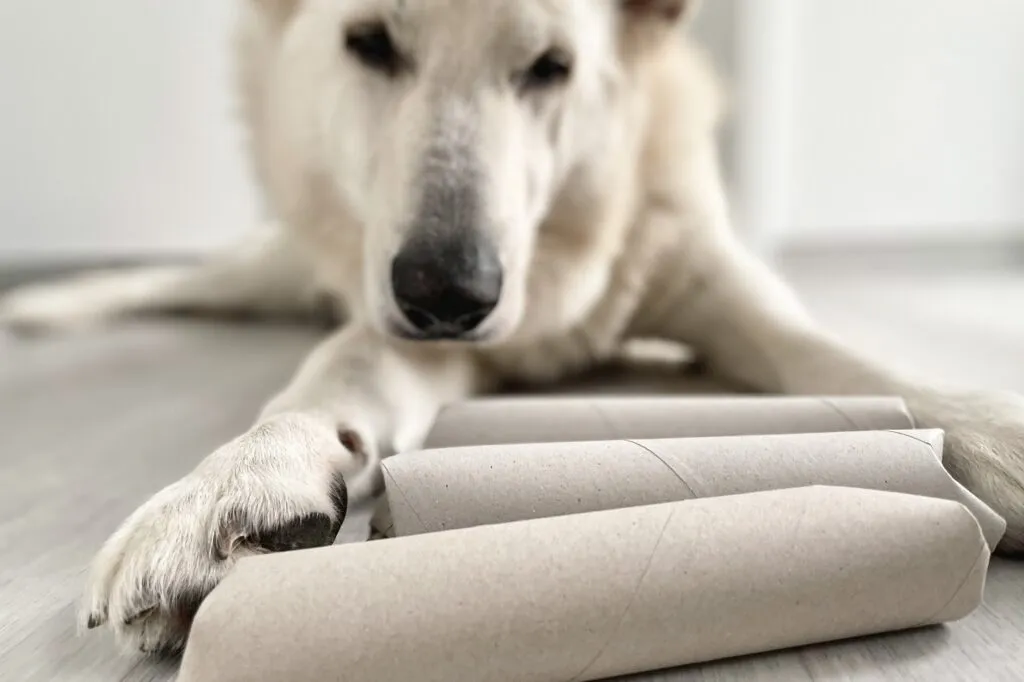 Papierrollen als Hundespielzeug